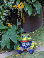 Frog Flower Pot, Colorful Ceramic Planter, Talavera Pottery, Indoor Outdoor Planter, Talavera Pot, Mexican Planter, Handmade Frog Pot, Large