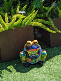 Frog Flower Pot, Colorful Ceramic Planter, Talavera Pottery, Indoor Outdoor Planter, Talavera Pot, Mexican Planter, Handmade Frog Pot, Large