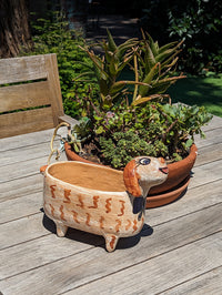 Ceramic Dog Planter, Flower Pot, Handmade Mexican Pottery from Atzompa, Mexico, Home Decor, Indoor or Outdoor Decor, Charming Plant Pot