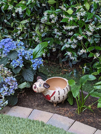 Ceramic Dog Planter, Flower Pot, Handmade Mexican Pottery from Atzompa, Mexico, Home Decor, Indoor or Outdoor Decor, Charming Plant Pot
