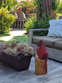 Northern Cardinal Garden Decor, Chainsaw Yard Art, Handmade Chainsaw Statue