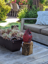 Northern Cardinal Garden Decor, Chainsaw Yard Art, Handmade Chainsaw Statue