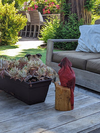 Northern Cardinal Garden Decor, Chainsaw Yard Art, Handmade Chainsaw Statue