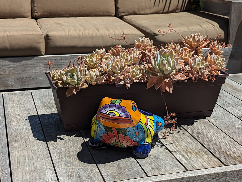 Colorful Frog Flower Pot, Ceramic Planter, Talavera Pottery, Indoor Outdoor Planter, Talavera Pot, Mexican Planter, Small Pot