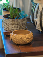 Ceramic Planter, Cactus Flower Pot, Handmade Mexican Pottery from Santa Maria Atzompa, Mexico, Home Decor, Indoor, Outdoor Decor, Plant Pot