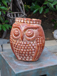 Mexican Owl Planter Pot for Indoor Home Decor or Outdoor Garden Decorations, Medium Owl, Reddish Brown