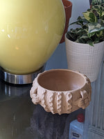 Ceramic Planter, Cactus Flower Pot, Handmade Mexican Pottery from Santa Maria Atzompa, Mexico, Home Decor, Indoor, Outdoor Decor, Plant Pot