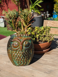 Mexican Owl Planter Pot for Indoor Home Decor or Outdoor Garden Decorations, Medium Owl, Reddish Brown