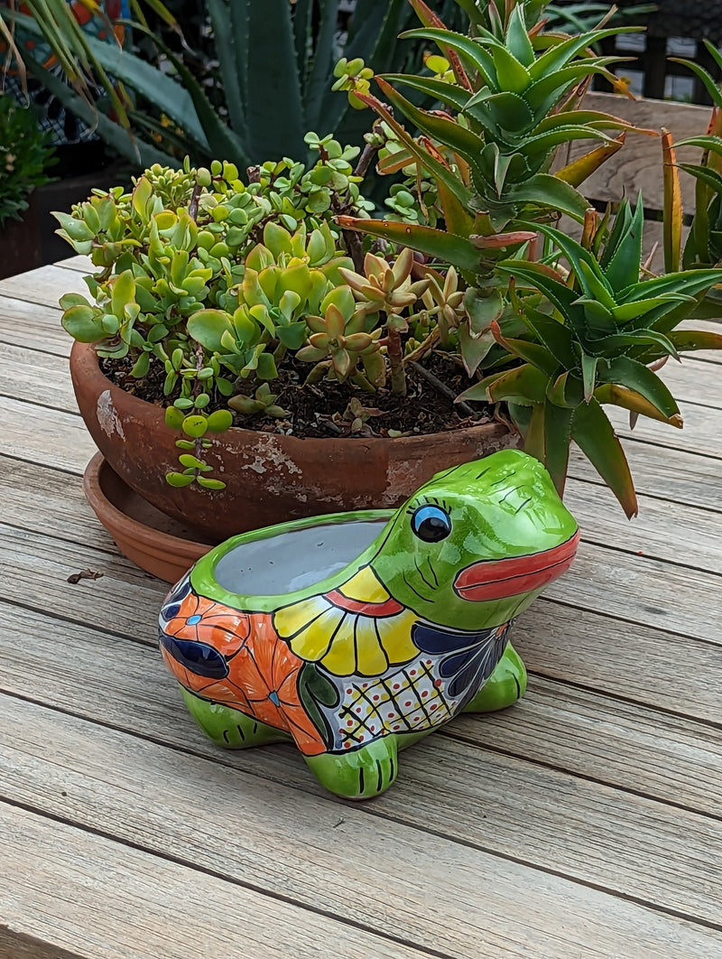 Colorful Frog Flower Pot, Ceramic Planter, Talavera Pottery, Indoor Outdoor Planter, Talavera Pot, Mexican Planter, Small Pot