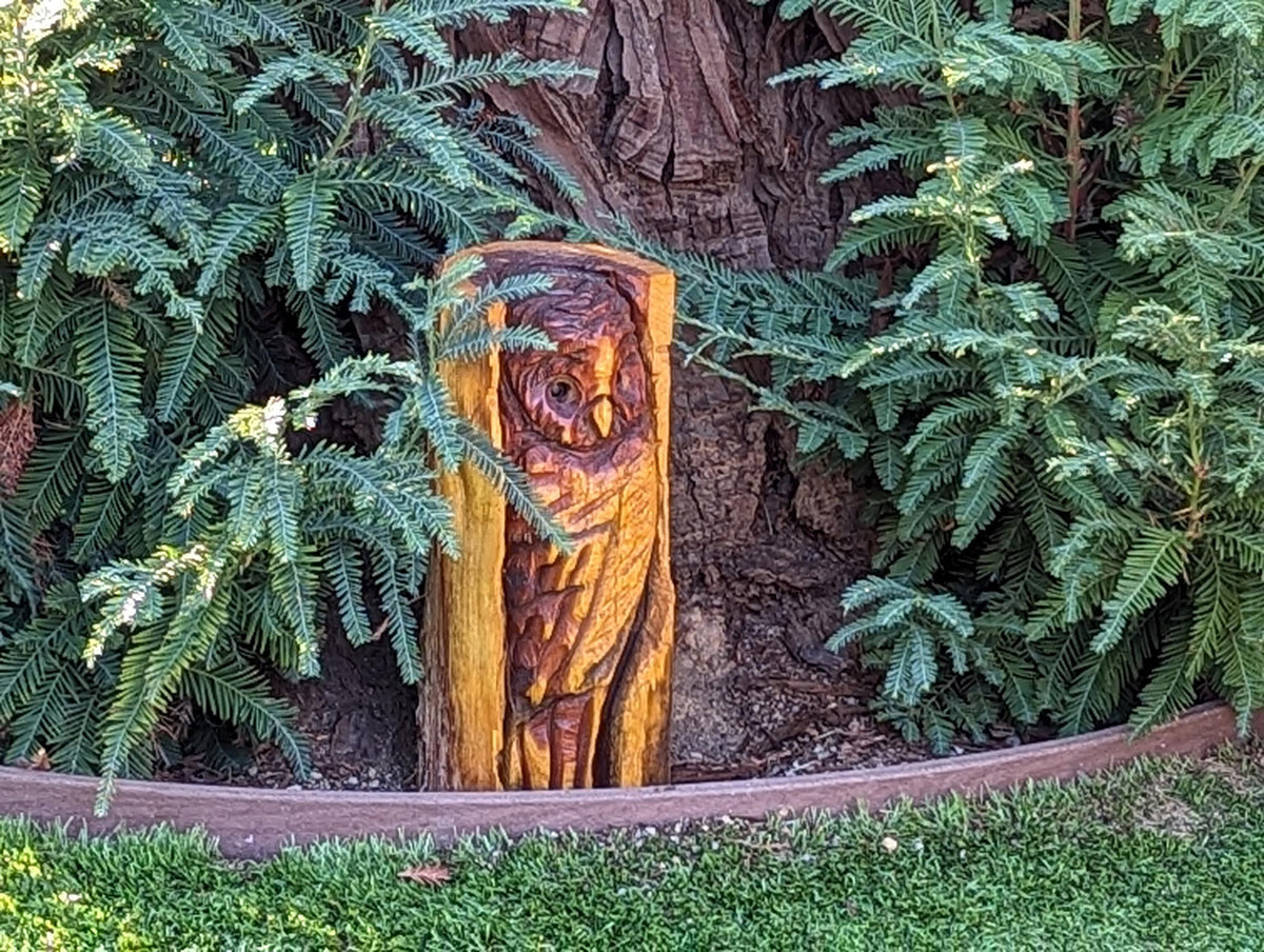 Pre-Order Barn Owl Decor | Original Chainsaw Yard Art to Enhance Your Porch, Patio, Garden or Backyard with a Nocturnal Guardian