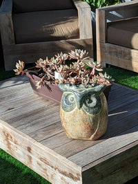 Owl Planter & Clay Flower Pot, Beige and Green, Mexican Pottery Home Decor Good for Indoor or Outdoor Decorations, Large Owl Pot