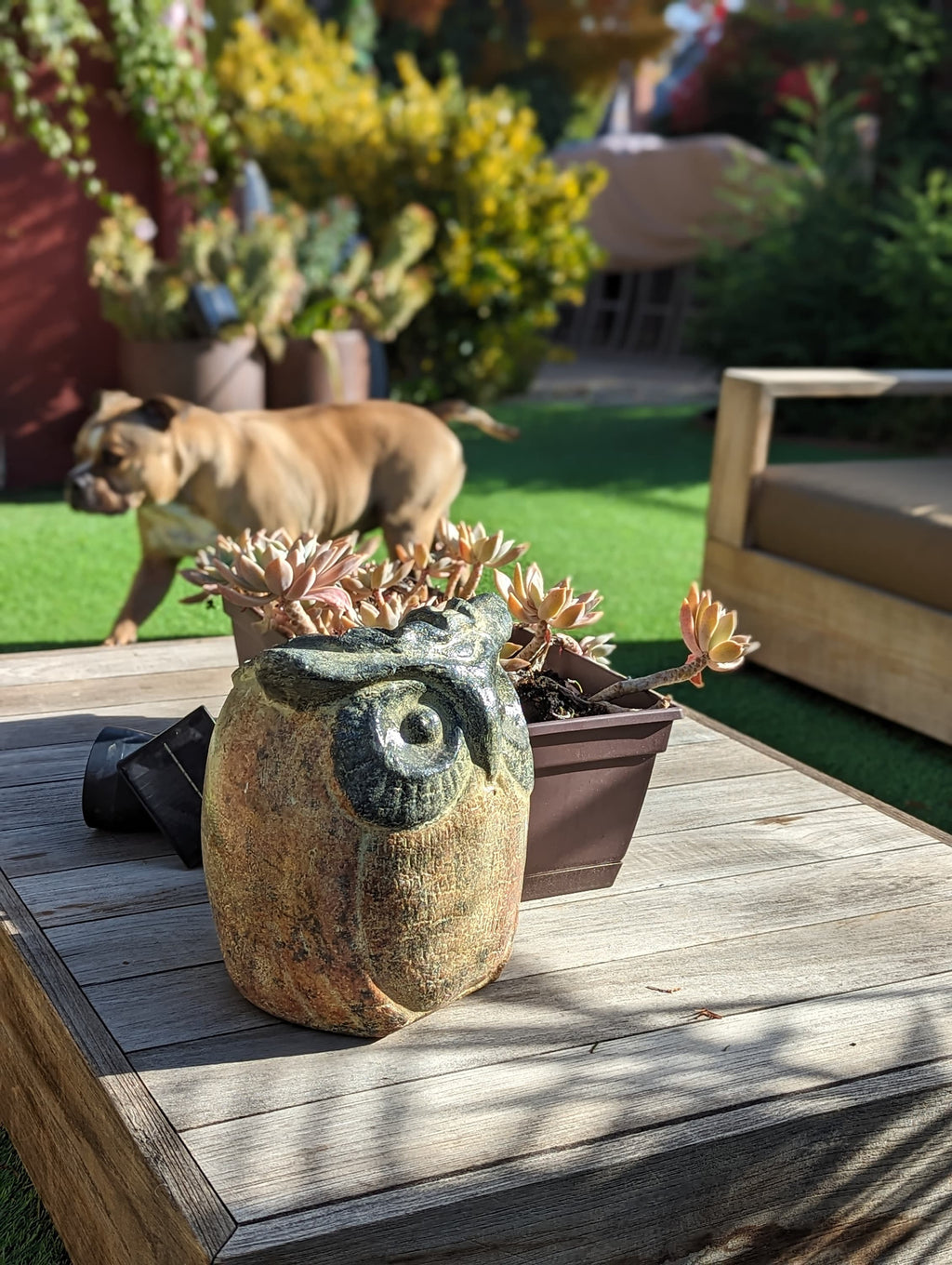 Owl Planter & Clay Flower Pot, Beige and Green, Mexican Pottery Home Decor Good for Indoor or Outdoor Decorations, Large Owl Pot