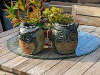 Owl Planter Pot | Mexican Pottery in Clay for Indoor Home Decor or Outdoor Yard Decorations, Small Pot, Two-Tone Owl