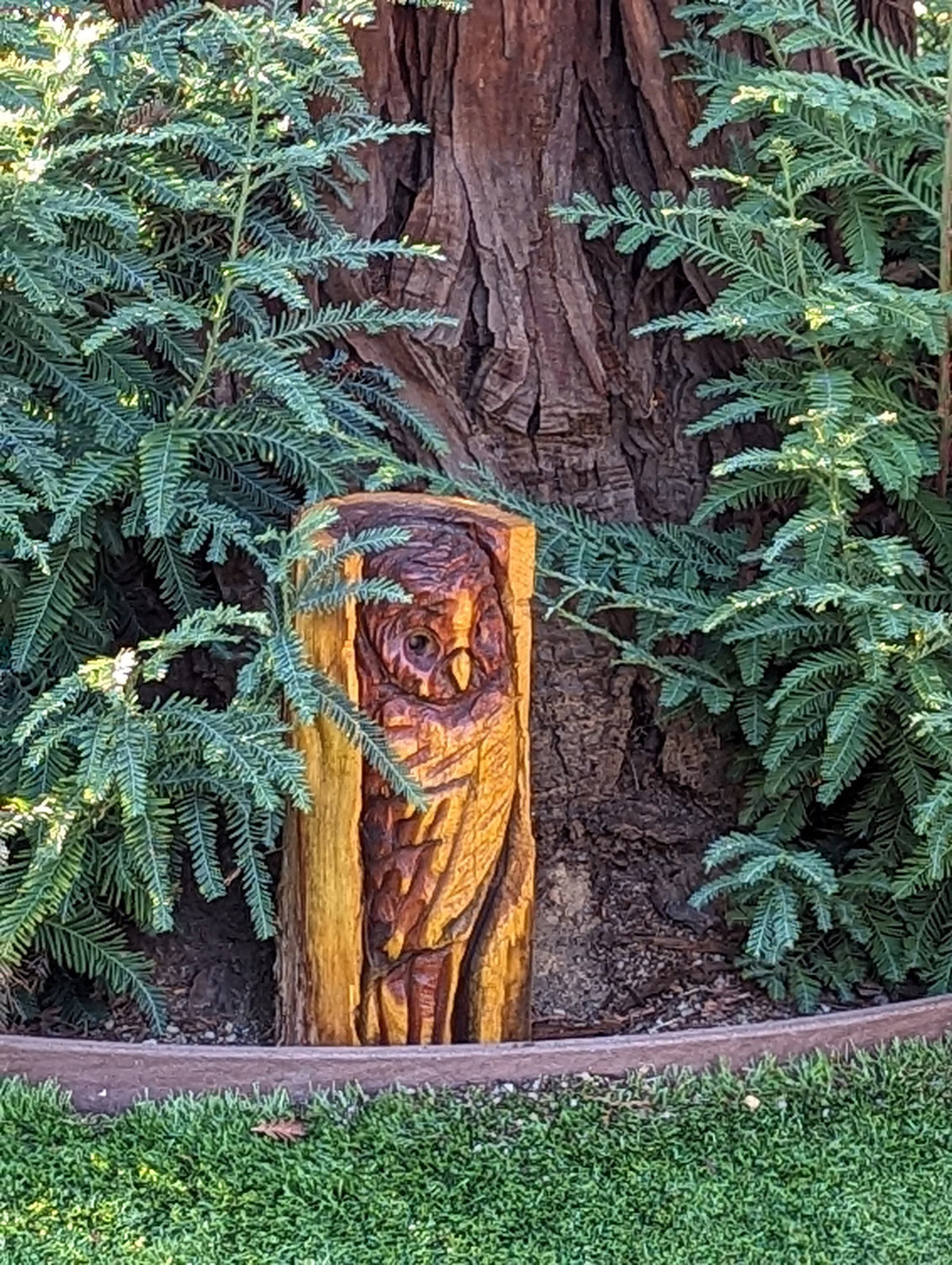 Pre-Order Barn Owl Decor | Original Chainsaw Yard Art to Enhance Your Porch, Patio, Garden or Backyard with a Nocturnal Guardian