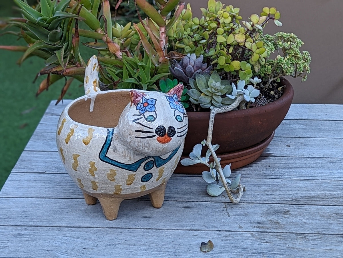 Fat Cat Planter, Ceramic Flower Pot, Handmade Mexican Pottery from Atzompa, Mexico, Home Decor, Indoor or Outdoor Decor, Charming Plant Pot