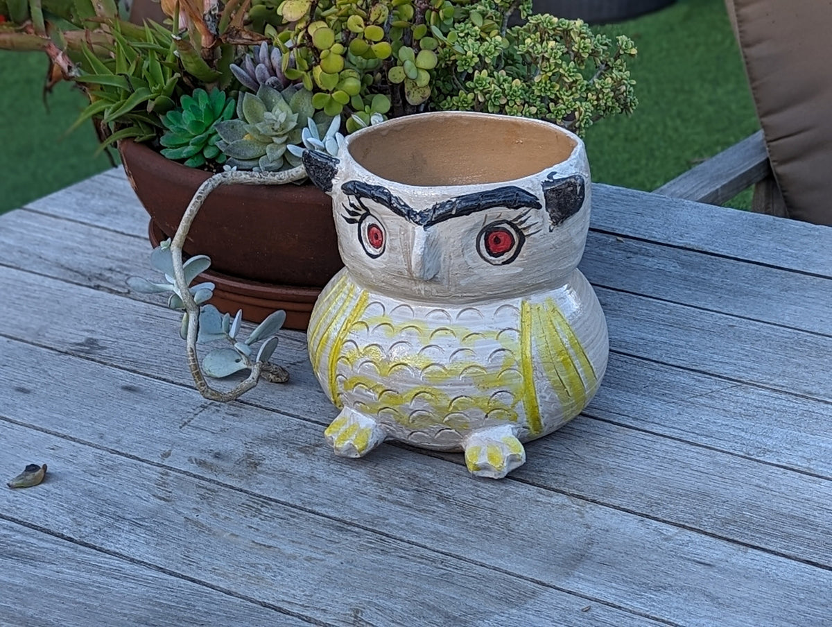 Ceramic Owl Planter & Flower Pot | Handmade Mexican Pottery from Atzompa, Mexico is Indoor or Outdoor Home or Yard Decor, Adorable Plant Pot