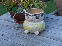 Ceramic Owl Planter & Flower Pot | Handmade Mexican Pottery from Atzompa, Mexico is Indoor or Outdoor Home or Yard Decor, Adorable Plant Pot