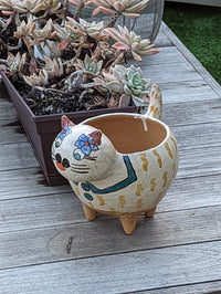 Fat Cat Planter, Ceramic Flower Pot, Handmade Mexican Pottery from Atzompa, Mexico, Home Decor, Indoor or Outdoor Decor, Charming Plant Pot