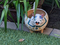 Fat Cat Planter, Ceramic Flower Pot, Handmade Mexican Pottery from Atzompa, Mexico, Home Decor, Indoor or Outdoor Decor, Charming Plant Pot