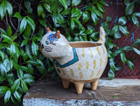 Fat Cat Planter, Ceramic Flower Pot, Handmade Mexican Pottery from Atzompa, Mexico, Home Decor, Indoor or Outdoor Decor, Charming Plant Pot