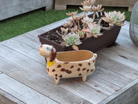 Happy Dog Planter and Flower Pot | Handmade Mexican Pottery from Atzompa, Mexico, Indoor or Outdoor Home or Yard Decor, Terracotta Pot