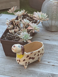 Happy Dog Planter and Flower Pot | Handmade Mexican Pottery from Atzompa, Mexico, Indoor or Outdoor Home or Yard Decor, Terracotta Pot