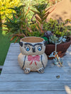 Red Bow Tie Owl Planter & Flower Pot | Handmade Mexican Pottery from Atzompa, Mexico, Indoor Home Decor or Outdoor Yard Decor, Ceramic Pot