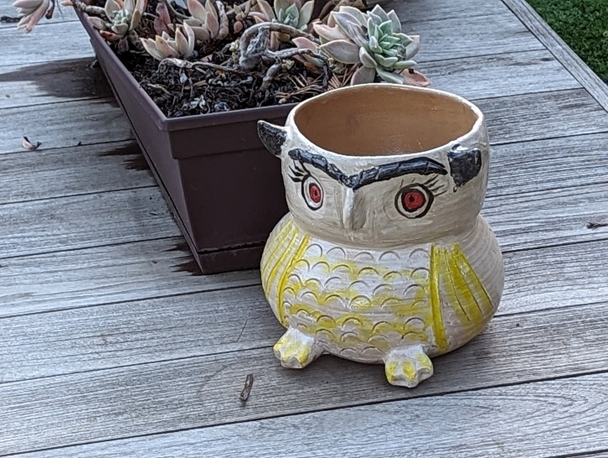 Ceramic Owl Planter & Flower Pot | Handmade Mexican Pottery from Atzompa, Mexico is Indoor or Outdoor Home or Yard Decor, Adorable Plant Pot