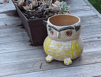 Ceramic Owl Planter & Flower Pot | Handmade Mexican Pottery from Atzompa, Mexico is Indoor or Outdoor Home or Yard Decor, Adorable Plant Pot