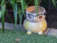Ceramic Owl Planter & Flower Pot | Handmade Mexican Pottery from Atzompa, Mexico is Indoor or Outdoor Home or Yard Decor, Adorable Plant Pot