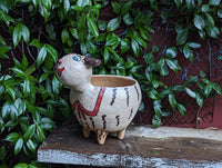 Ceramic Sheep Planter & Flower Pot | Handmade Mexican Pottery from Atzompa, Mexico is Indoor Home Decor, Outdoor Yard Decor, Terracotta Pot