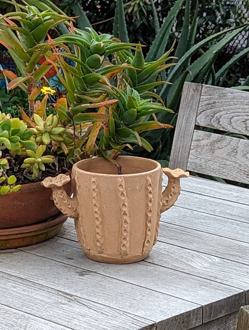 Cactus Plant Pot, Terra Cotta Planter, Handmade Mexican Pottery from Santa Maria Atzompa, Mexico, Home Decor, Indoor Outdoor Flower Pot