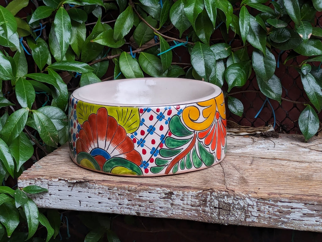 Dog Dish Ceramic Pet Bowl, Talavera Pottery for Small Dog, Hand Painted Dog Lover Gift, Pet Bowls